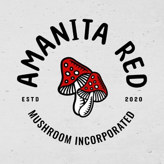 Мухомор |Amanita RED / Лёнин Гриб