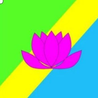 Администрация Лесозаводского городского округа