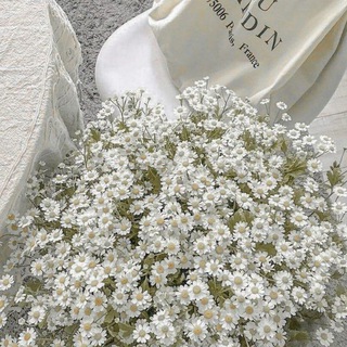 𝚕𝚎𝚜𝚖𝚒 𝚋𝚎𝚊𝚍𝚜 𓏲