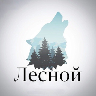 Лесной - Фотографии леса, природы