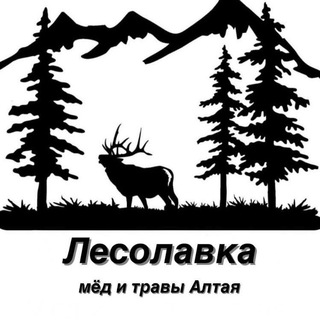 Lesolavka_altai 🍯Пасека Поповых 🍯