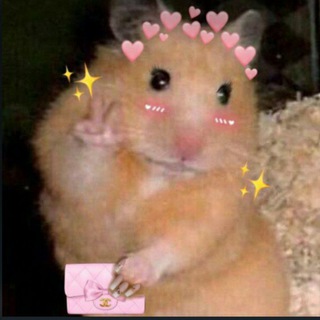 канал абобусов