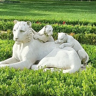 всякая смешная дичь из этих ваших интернетов