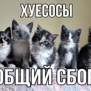 Квирские флаги (арХХХив)