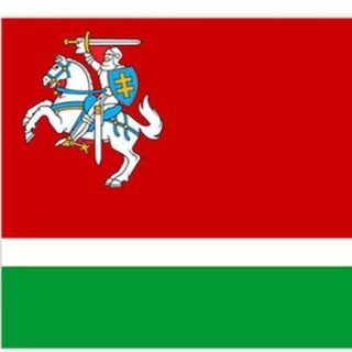 Литва головного мозга