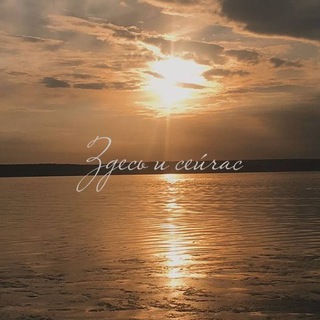 Студент жизни 🤍