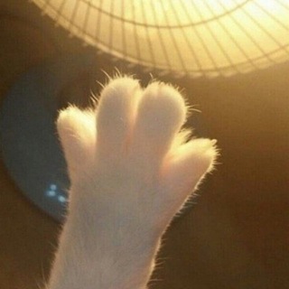 Хроники Мелоса