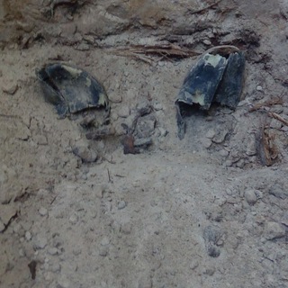 Мемуары гробовщика