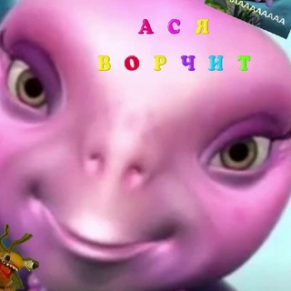 Ася ворчит и (ого!) работает.