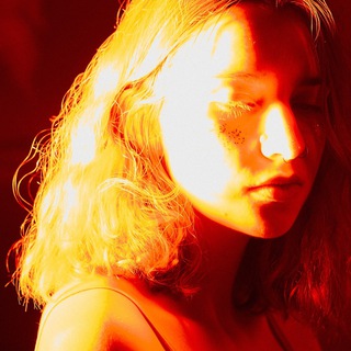 опрокинутый лес