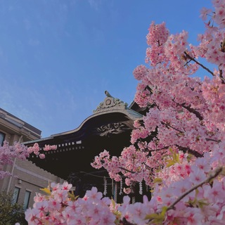 Михо в Японии (работает)