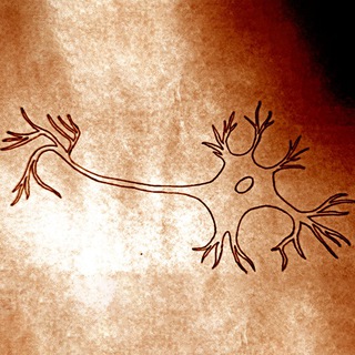 Экзистенция заблудшего разума