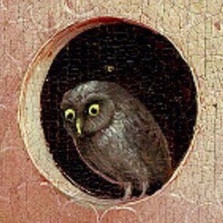 Сова Минервы