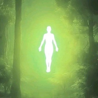 7 минут до заварки чая