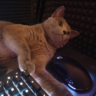 Мишкины книжки