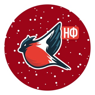 Молодёжка Народного Фронта