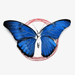 Это точно Монро?