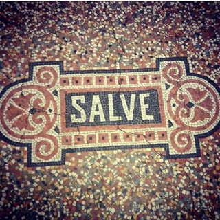 Foxterrierster (Жизнь московского муравья)