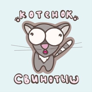 Котенок свинотыш