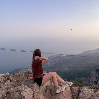 стая лающих собак из западной псарни