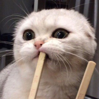 Станиславские в сборе