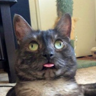 Улыбаемся и пашем!