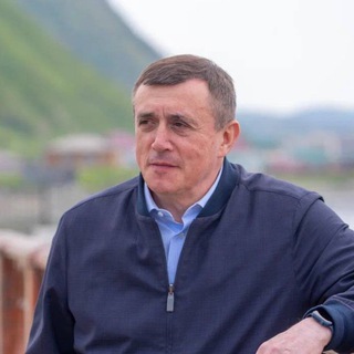 Лимаренко Brief