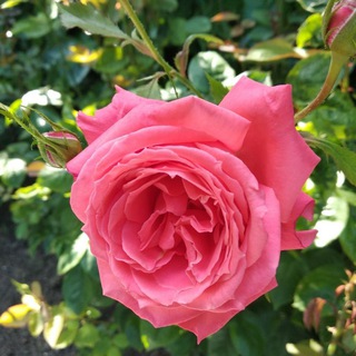 Познаем себя!