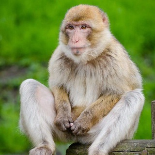 L1n1xSoft - Best private cheat for Standoff2