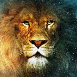 Дэвид Айк_канал