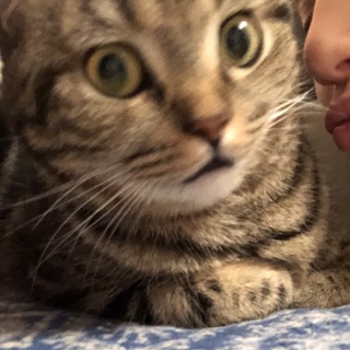 жизнь оли и нелли😳😳