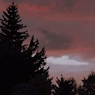 Лисья Нора 📚🦊