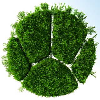 Канал «Живая Планета»