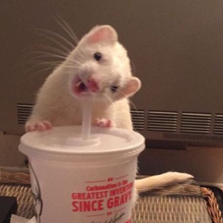 speed song | парные авы