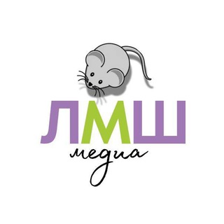 Медиаредакция ЛМШ