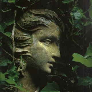 легенды серого сада