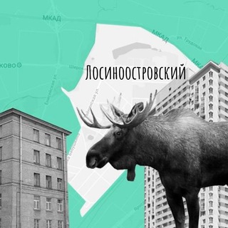 Лосиноостровский район / Новости / События