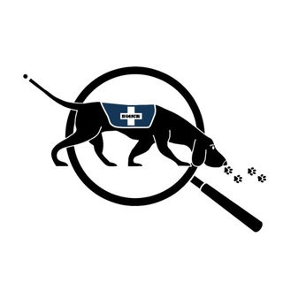 Поиск пропавших животных