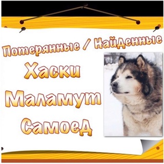 Потерянные / Найденные Хаски по всей России
