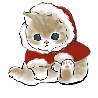 Мысли безумной ведьмы*: ･ﾟ🐾 °₊ ˙˚