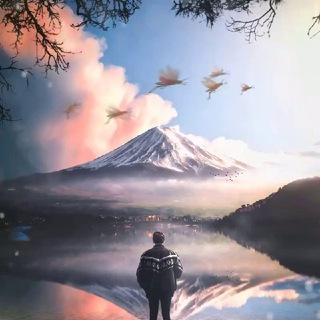 Вечное сияние чистого разума 💎