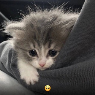 поцелуй на прощанье zZ