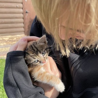 идеи для видео от майотовых