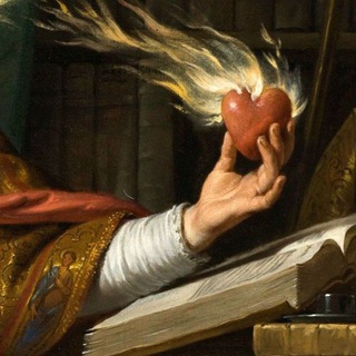 Красная крыса