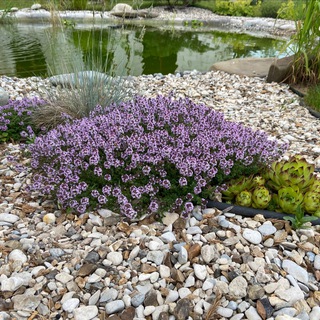 Ландшафт Дизайн