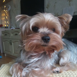 ➣ ⲔⲊⳘ ︴ beads ❤️‍🩹