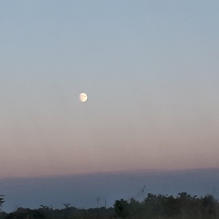 Лунная прогулка