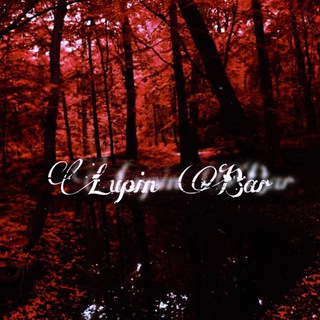 ʟᴜᴘɪɴ ʙᴀʀ