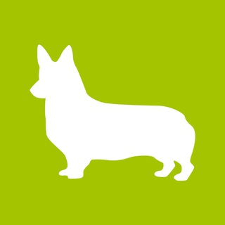 Luxberry. Вельш корги пемброк и вельш корги кардиган