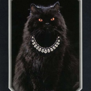 LUXURY JEWELRY BRANDS